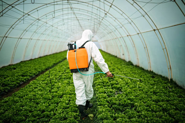 Professional Pest Control in Mooresville, IN