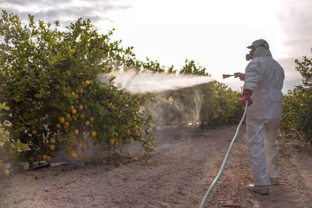 Best Bed Bug Extermination  in Mooresville, IN
