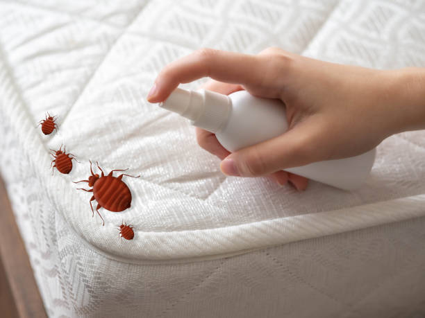 Best Best Pest Control Companies  in Mooresville, IN