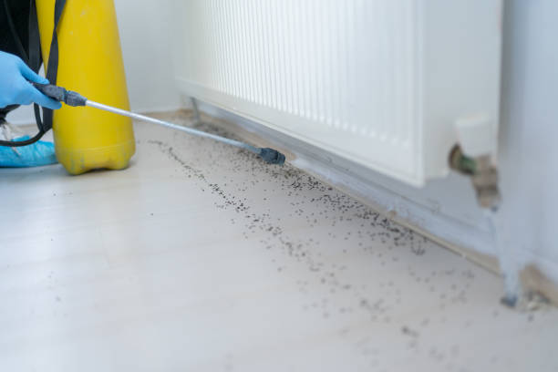 Best Pest Control Treatment  in Mooresville, IN